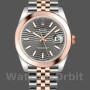 Replique Hommes Rolex Datejust 41mm Hommes-126301-Rose Gold-Slate Grey Fluted Motif Dial Grey