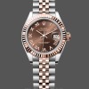 Replique Femmes Rolex Datejust 28mm Rose Gold & Steel Chocolate Dial m279171 0009 Femmes Chocolate Dial