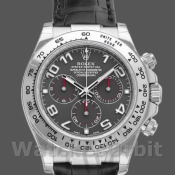 Replique Hommes Rolex Cosmograph Daytona 40mm Hommes-116519-Cadran gris-Bracelet cuir noir Gris