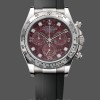 Replique Hommes Rolex Cosmograph Daytona White Gold Rubellite Dial 116509 Rubber Strap Red Dial