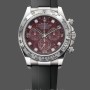 Replique Hommes Rolex Cosmograph Daytona White Gold Rubellite Dial 116509 Rubber Strap Red Dial