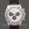 Replique Hommes Rolex Daytona 40mm Hommes-116519-Panda Dial-Black Rubber Strap White