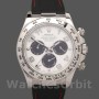 Replique Hommes Rolex Daytona 40mm Hommes-116519-Panda Dial-Black Rubber Strap White