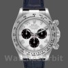 Replique Hommes Rolex Daytona 40mm Hommes-116519-Panda Dial-Blue Leather Strap White