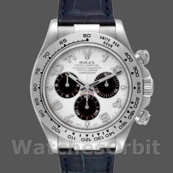 Replique Hommes Rolex Daytona 40mm Hommes-116519-Panda Dial-Blue Leather Strap White